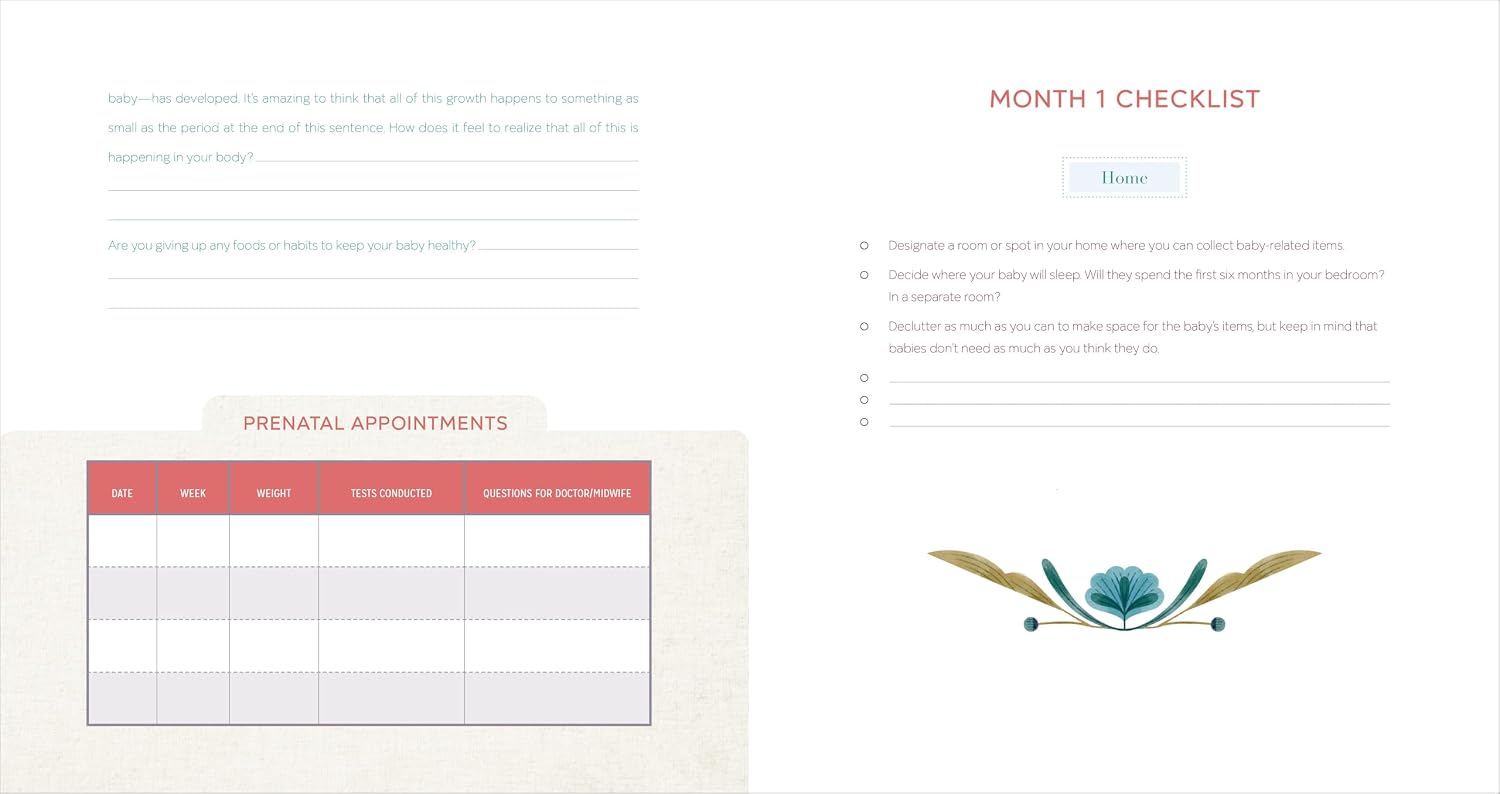 The First-Time Mom's Pregnancy Journal