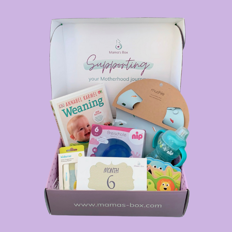9 Months Subscription Bundle - Mama's Box LLC